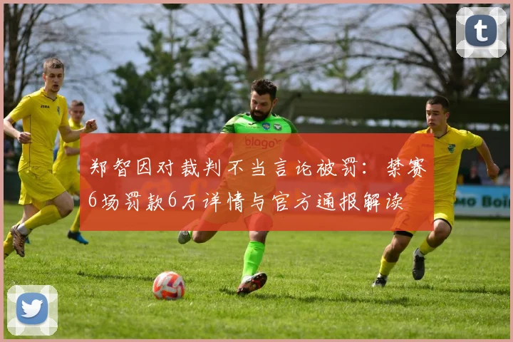 郑智因对裁判不当言论被罚：禁赛6场罚款6万详情与官方通报解读